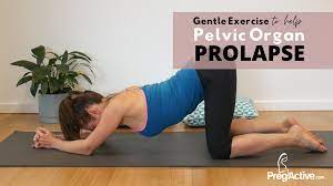 pelvic organ prolapse exercises video 3