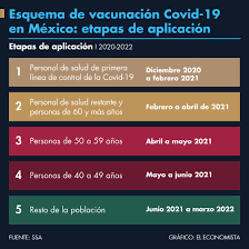 Diciembre 2020 a febrero 2021: Esquema De Vacunacion Covid 19 En Mexico Etapas De Aplicacion El Economista