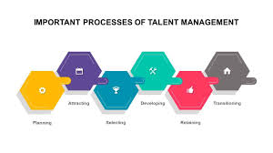 talent management a guide for hr