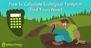 How To Calculate Ecological Footprint