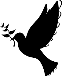 SVG > dove branch symbol pigeon - Free SVG Image & Icon. | SVG Silh