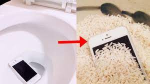 how to fix phone dropped in water