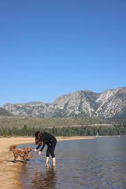 dog friendly guide to lake tahoe