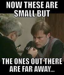 Image result for small far away father ted quote