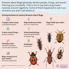 dreams about bugs minor issues are