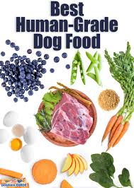 human grade dog food brands get