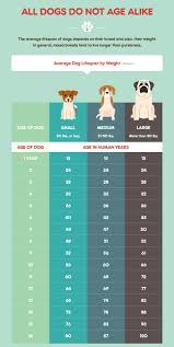 Dog Age By Weight Dog Facts Dog Ages Dog Love