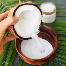 homemade coconut milk recipe dairy