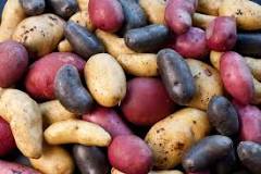 What are russet potatoes in Australia?
