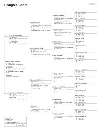 Family Tree Charts 2019