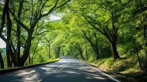 nature road stock photos images and