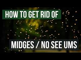 how to get rid of midges biting midges