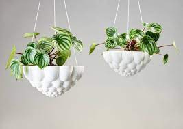 Jelly Hanging Planters Indoor Plant