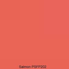 Pro Silk Fabric Paint Salmon 202