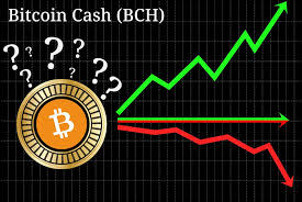 Kraken Executive Says Bitcoin Cash Bch Security Will Come