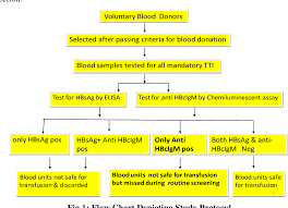 Figure 1 From Testing Donor For Anti Hbcigm To Enhance Blood