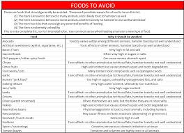 Hamster Nutrition V Safe Fruits Vegetables And Other