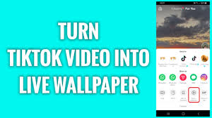 turn tiktok video into live wallpaper