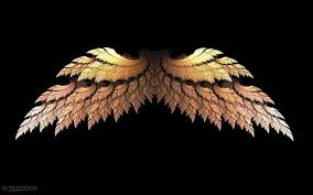 gold angel wings wallpapers top free