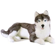 rocco the husky dog toy cuddly and