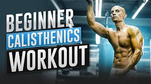 beginner calisthenics workout frank