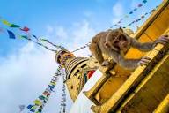 Swayambhunath Monkey Temple – Kathmandu, Nepal - Atlas Obscura