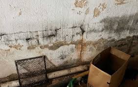 S In Basement Walls When To Worry