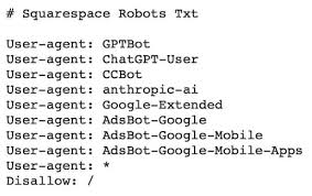 robots txt guide for squaree block