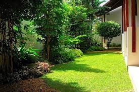 landscaping and garden services badulla