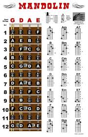 Mandolin Fretboard And Chord Chart Instructional Poster