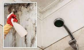 Remove Black Mould From Walls