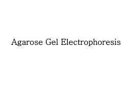 ppt agarose gel electropsis