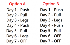 push pull legs program ppl