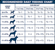 Husky Feeding Guide Goldenacresdogs Com