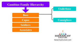 Hierarchy Of Gambino Family Structure Hierarchy Structure