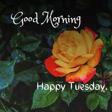 good morning happy tuesday images hd