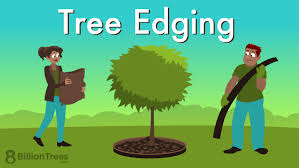 Tree Edging Landscaping Around Trees
