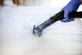 steam to eliminate bed bugs