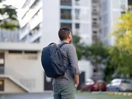 peak design everyday backpack 20l zip