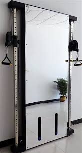 French Fitness Wall Mounted Mirror
