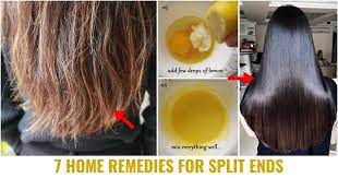 7 best home remes for split ends