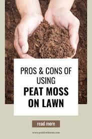 using peat moss on lawn