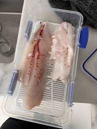 LegaSea - More Fish In The Water - Thanks everyone for your feedback on  yesterday's poll. LegaSea has received a number of enquiries about the  safety of eating or touching milky flesh