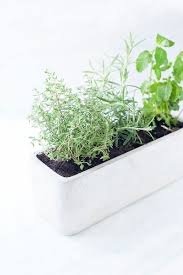 Grow A Simple Kitchen Herb Garden