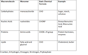 biological macromolecules