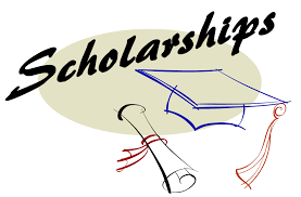 Image result for Scholarship  images