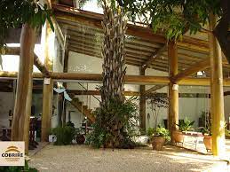 Casa com estrutura em eucalipto imunizado. 8 Ideias De Casa Eucalipto Casas Estruturas De Madeira Arquitetura