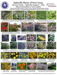It turns out that flowers are an essential ingredient in establishing a healthy garden because they attract beneficial insects and birds, which control pests and pollinate crops. Butterfly Plants Pbmg 8x10 5 Png Pollinator Garden Design Butterfly Plants Perennial Garden