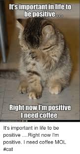 I need coffe to wake up bt i need to wake up to get coffee. It Simportant In Life To Be Positive Right Nowim Positive Need Coffee It S Important In Life To Be Positive Right Now I M Positive I Need Coffee Mol Cat Life Meme On Ballmemes Com