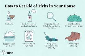 How to Get Rid of Ticks in Your House